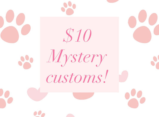 $10 Mystery Customs